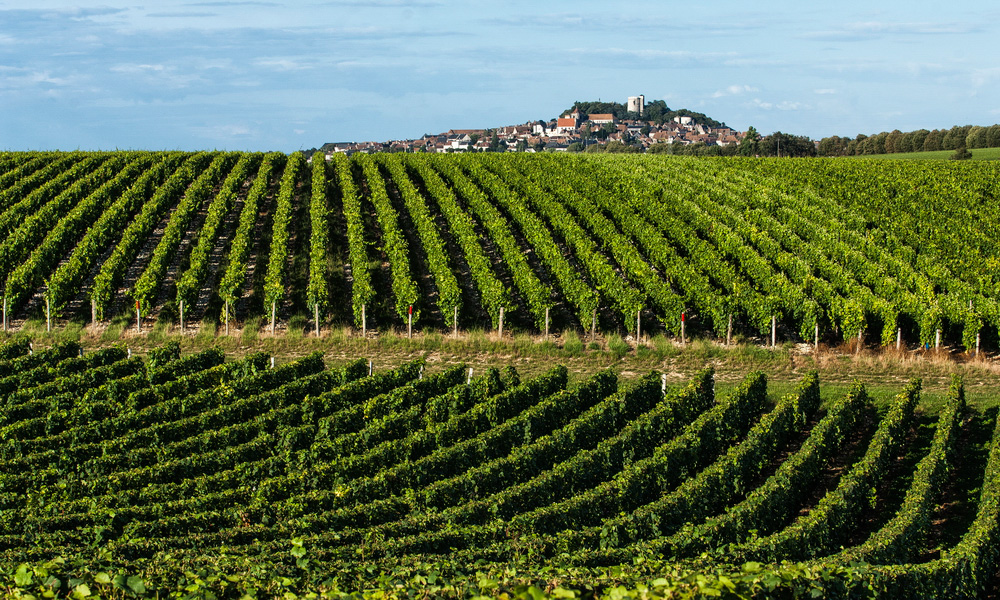 top-french-wine-daytrips-from-paris
