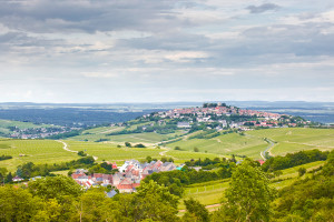 wine region burgundy Loire Valley