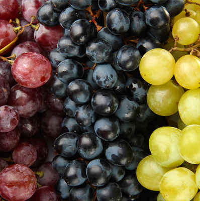 Grape varieties