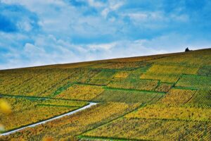 Chablis Enthusiast Tour
