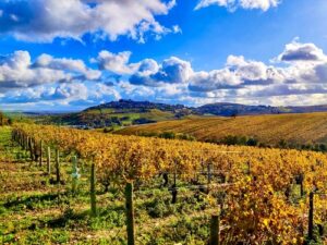 Best Wine Tours From Paris