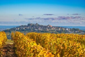 sancerre wine tour from Paris