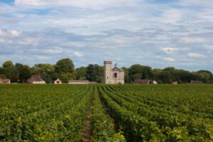 burgundy-wine-tour-from-paris