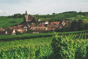 Chablis wine tour from Paris