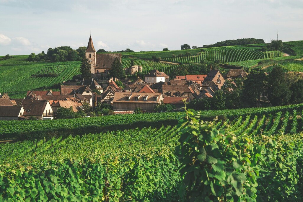 Chablis wine tour from Paris
