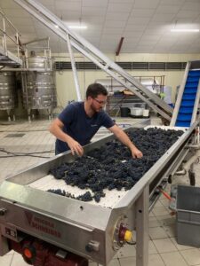 best-wine-tasting-day-trip-paris-options