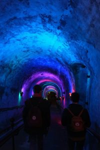 best-champagne-cellar-visits-from-paris