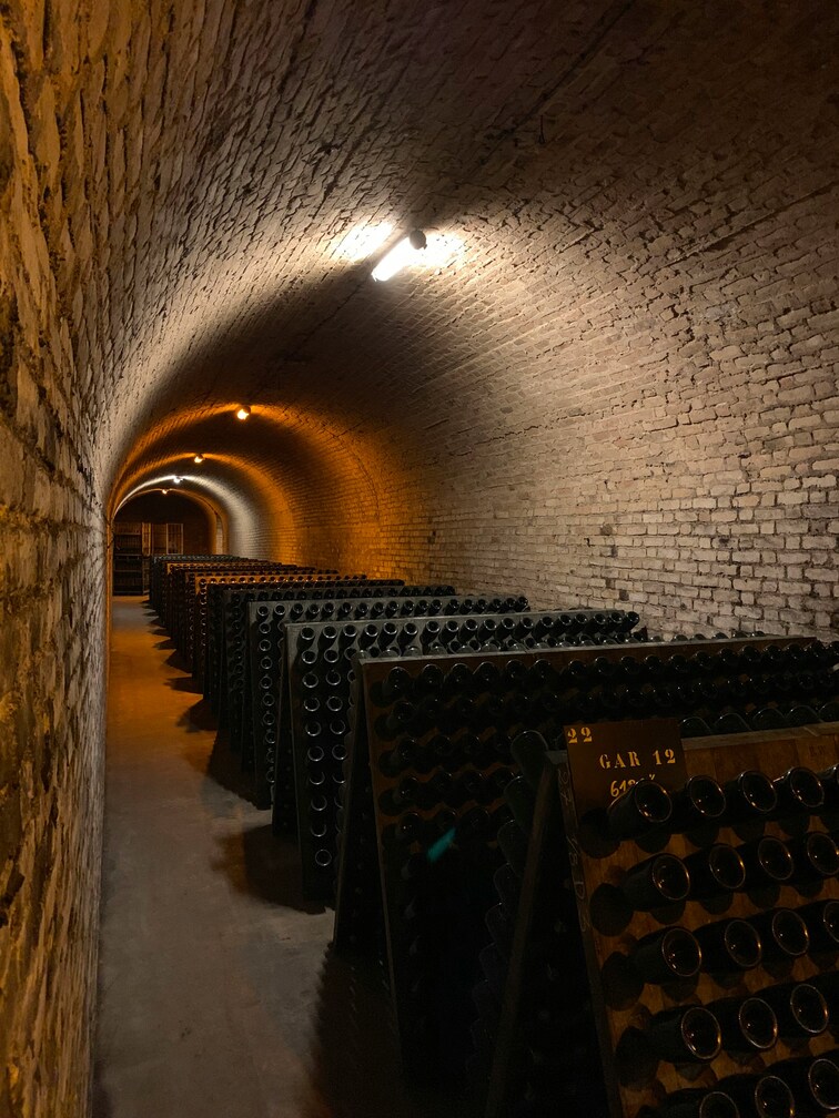 champagne-tastings-what-to-expect