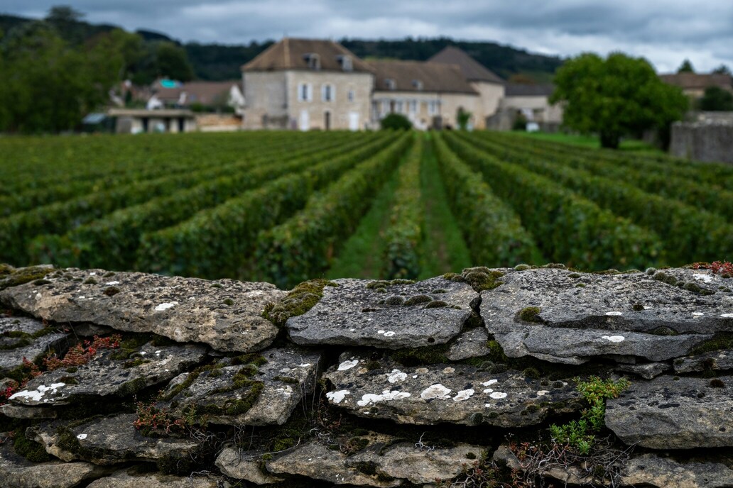 guide-to-french-wine-regions