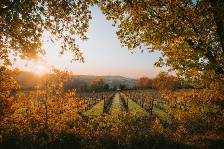 burgundy-tour-paris-day-trip-worth-it