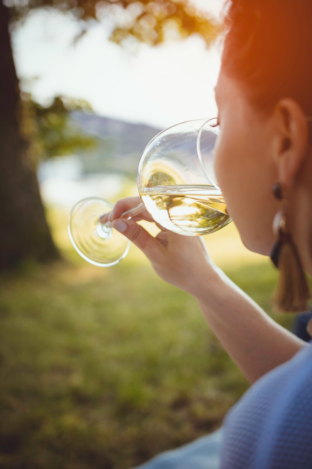can-beginners-enjoy-winery-tours