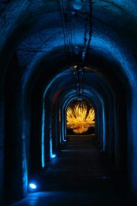 champagne-house-tour-review