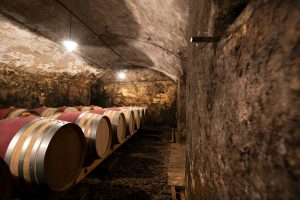 champagne-tours-versus-burgundy-tours