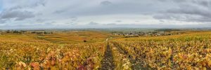 guide-to-champagne-villages