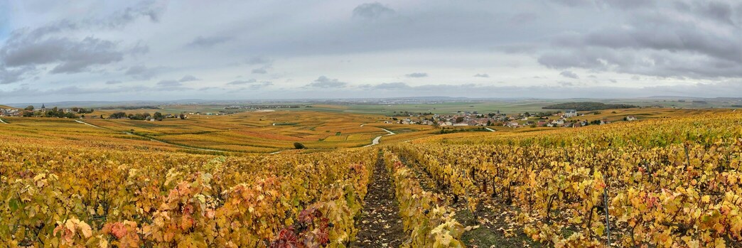 guide-to-champagne-villages
