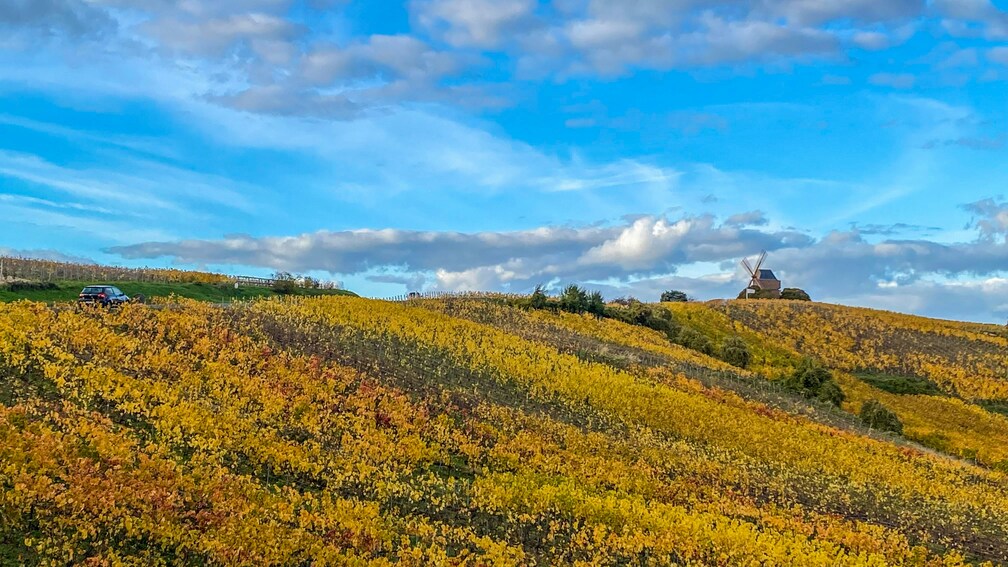 how-to-choose-wine-regions