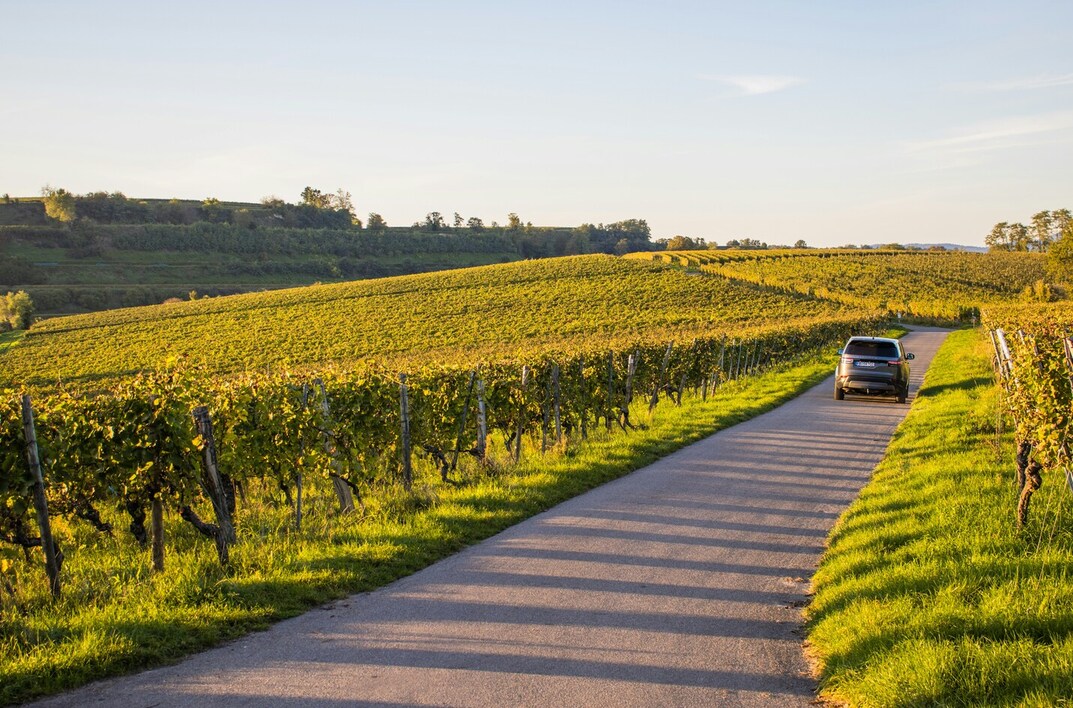 guide-to-wine-tasting-transportation-from-paris