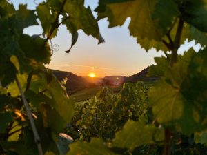 is-a-wine-day-trip-worth-it-from-paris