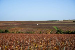 is-chablis-worth-visiting-from-paris