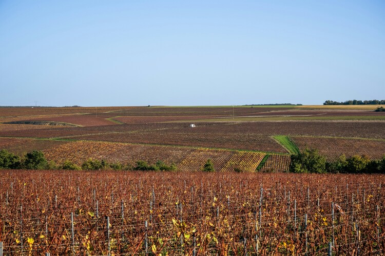 is-chablis-worth-visiting-from-paris
