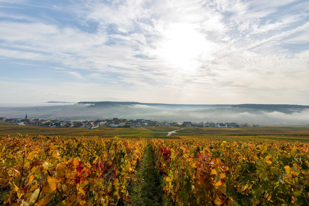 pouilly-fume-tour-review